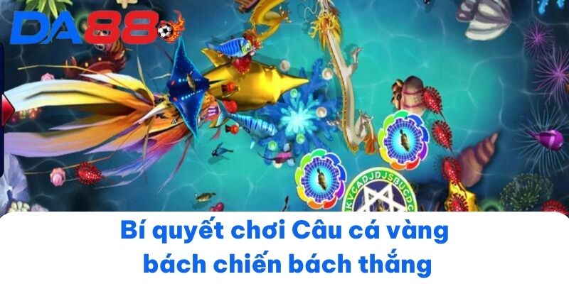 Bí quyết chơi Câu cá vàng bách chiến bách thắng