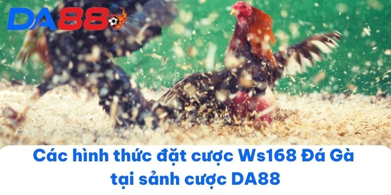 Các hình thức đặt cược Ws168 Đá Gà tại sảnh cược DA88