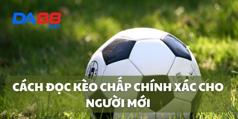Cách đọc kèo chấp chính xác cho người mới