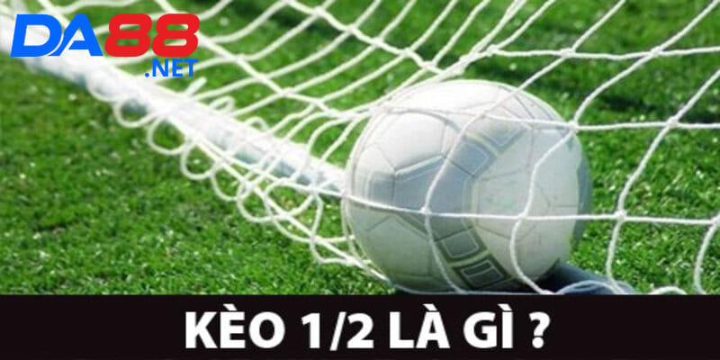 Kèo Chấp Nửa Trái: Bí Quyết Đọc Kèo Và Chiến Thắng Hiệu Quả