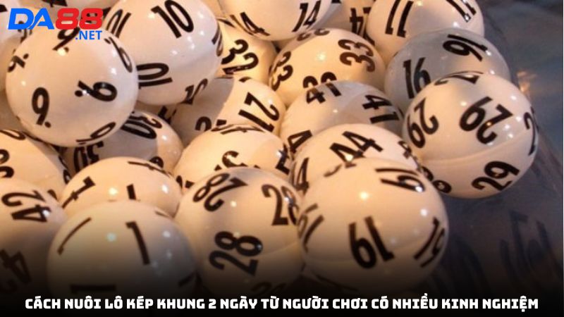 Cách nuôi lô kép khung 2 ngày từ cao thủ