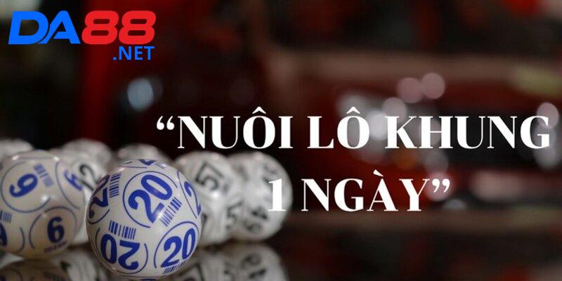 Cách Nuôi Lô Khung 1 Ngày Hiệu Quả Dành Cho Các Tân Lô Thủ