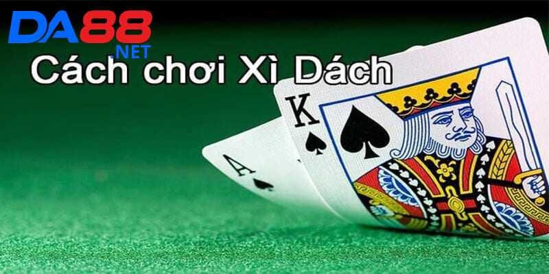 Luật chơi xì dách cực dễ dàng cho người chơi mới