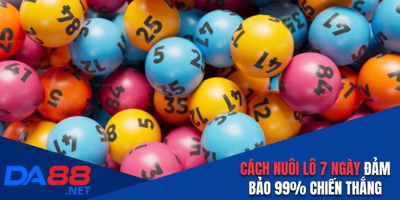 Cách Nuôi Lô 7 Ngày Cơ Bản Và Đảm Bảo 99% Chiến Thắng